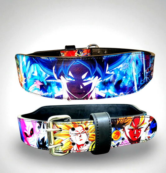 WEIGHTLIFTING BELTS